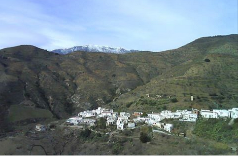 losgalvez