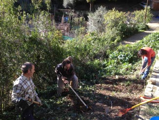 acondicionando-terreno