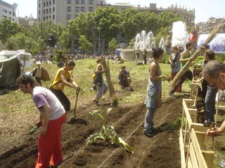 empezamos-a-plantar