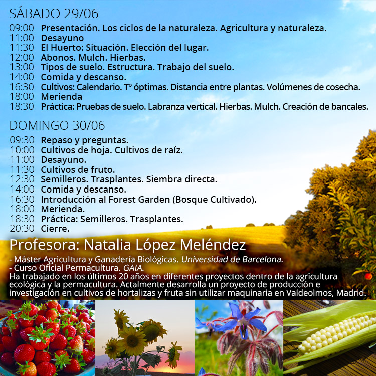 programa del taller de huerto