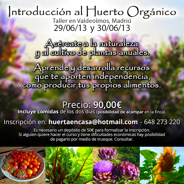 taller huerto